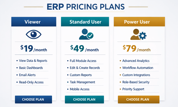 ERP Pricing Infographic