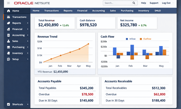 NetSuite Financial Dashboard